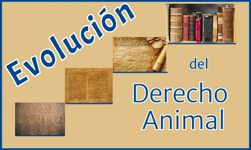 Evolución del Derecho Animal