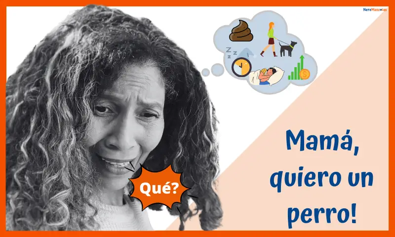 Dibujo gráfico de una mujer exclamando sorpresa ante lo que le dice su hijo "mamá quiero un perro", encima una nube de pensamiento con los dibujos de ella paseando al perro, ella durmiendo, un reloj, símbolos de dinero y pupú.