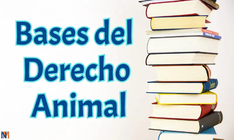 Bases del derecho animal, una torre de libro que representan la base del conocimiento del derecho