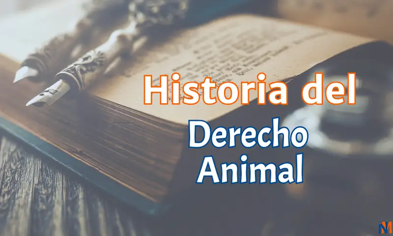 Foto Principal de la Historia del Derecho Animal