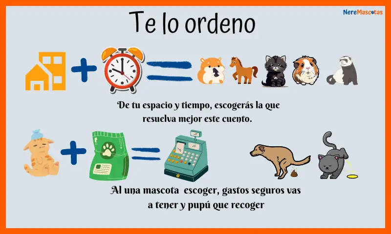 Ordenamos los pensamientos y como elegir una mascota, en un grafico con dibujos que representan el espacio (casa o edificio) que sumado al tiempo (un reloj) nos indican varios tipos: perro, gato, hamster, reptiles, hurones, pony, etc. Y el dinero para sus gatos médicos, comida, etc, así como el recoger su pupú o sacarlo de pase a que haga pipi, nos dará la definitiva.